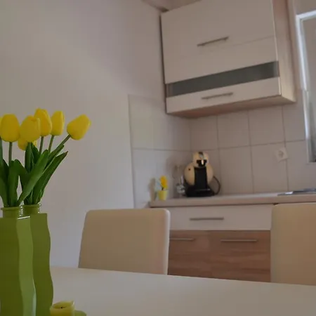 Апартаменты Danijela