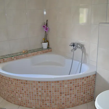 Апартаменты Danijela *